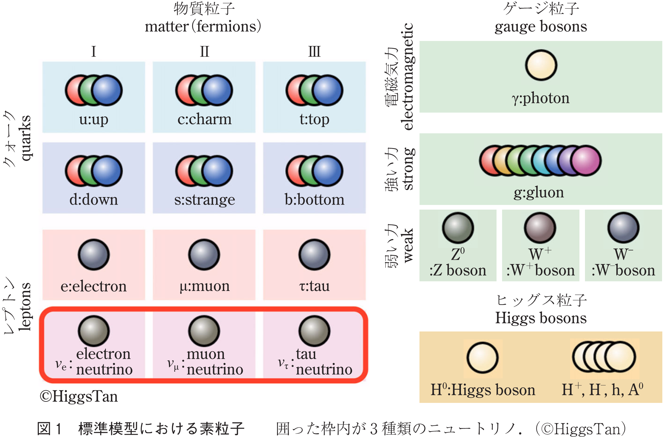 図1　標準模型における素粒子