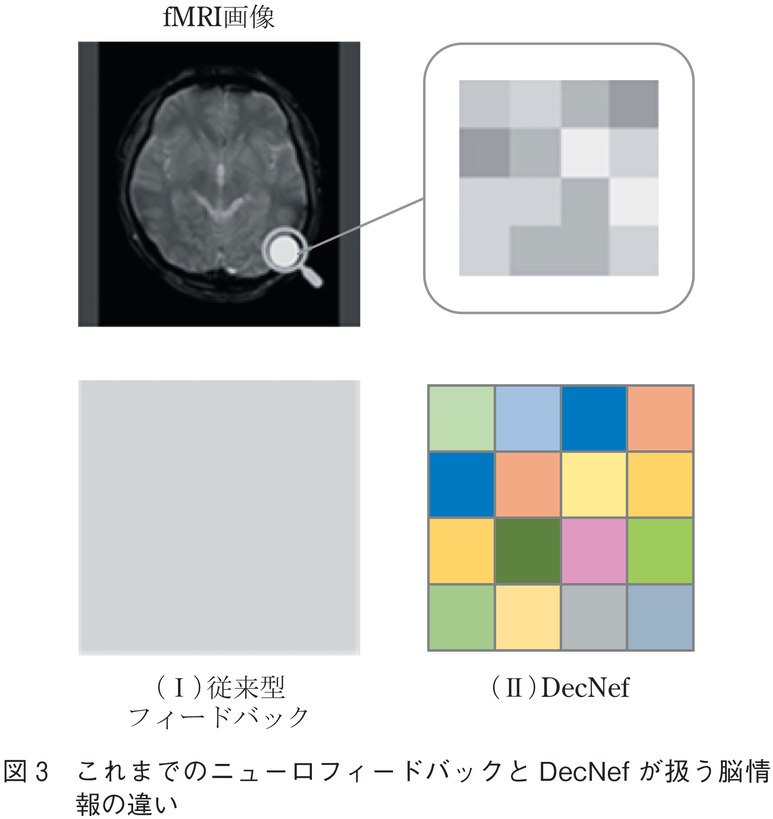 図3　これまでのニューロフィードバックとDecNefが扱う脳情報の違い