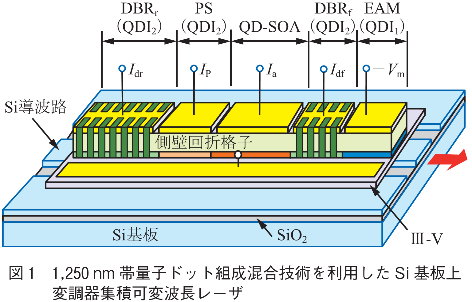 図1　1,250nm帯量子ドット組成混合技術を利用したSi基板上　変調器集積可変波長レーザ
