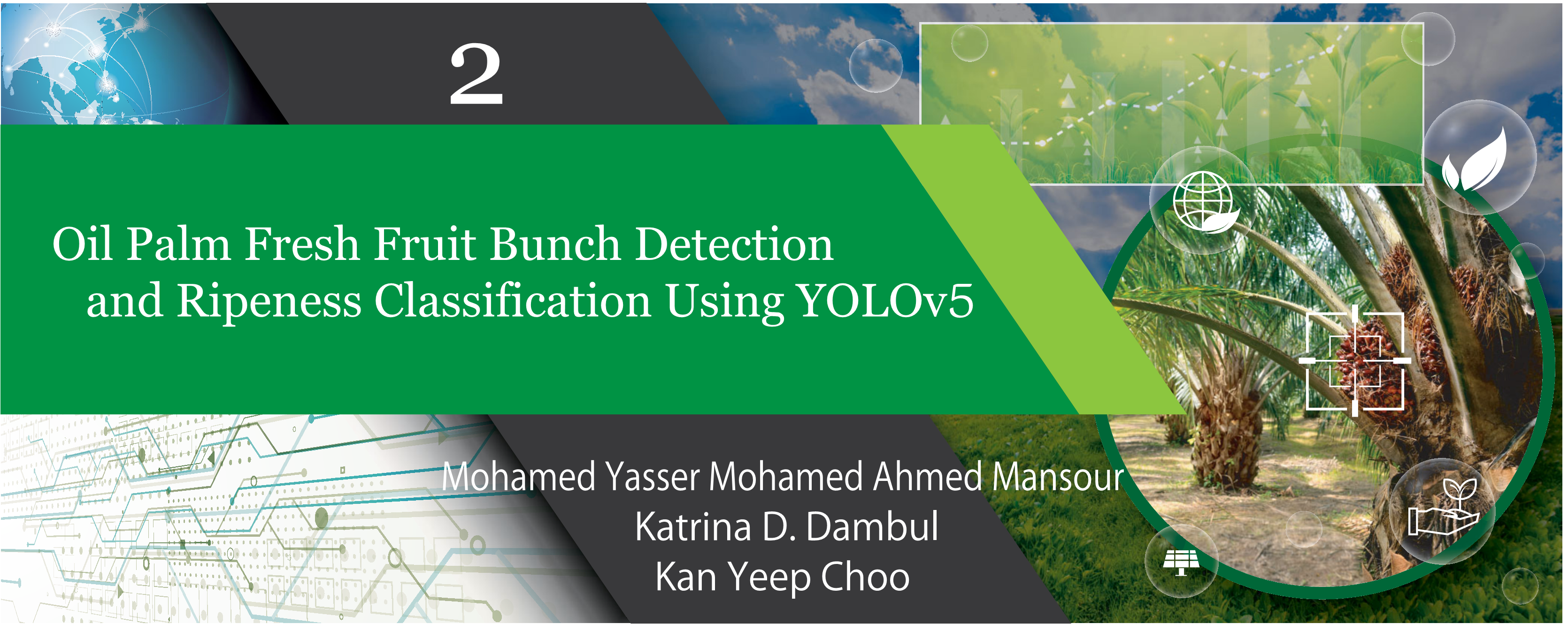 Special Section on 2. Oil Palm Fresh Fruit Bunch Detection and Ripeness Classification Using YOLOv5 Mohamed Yasser Mohamed Ahmed Mansour Katrina D. Dambul Kan Yeep Choo