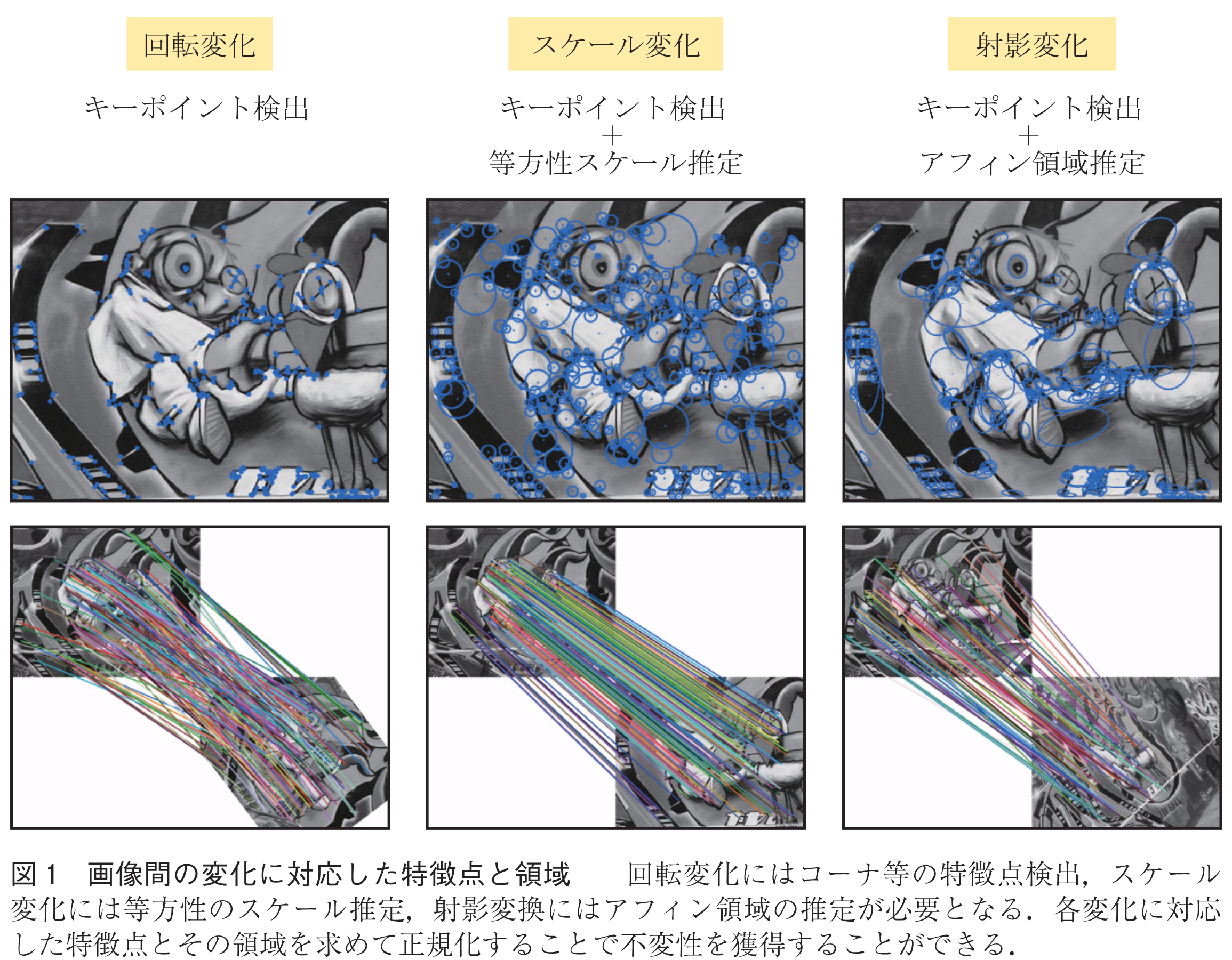 図1　画像間の変化に対応した特徴点と領域　　回転変化にはコーナ等の特徴点検出，スケール変化には等方性のスケール推定，射影変換にはアフィン領域の推定が必要となる．各変化に対応した特徴点とその領域を求めて正規化することで不変性を獲得することができる．