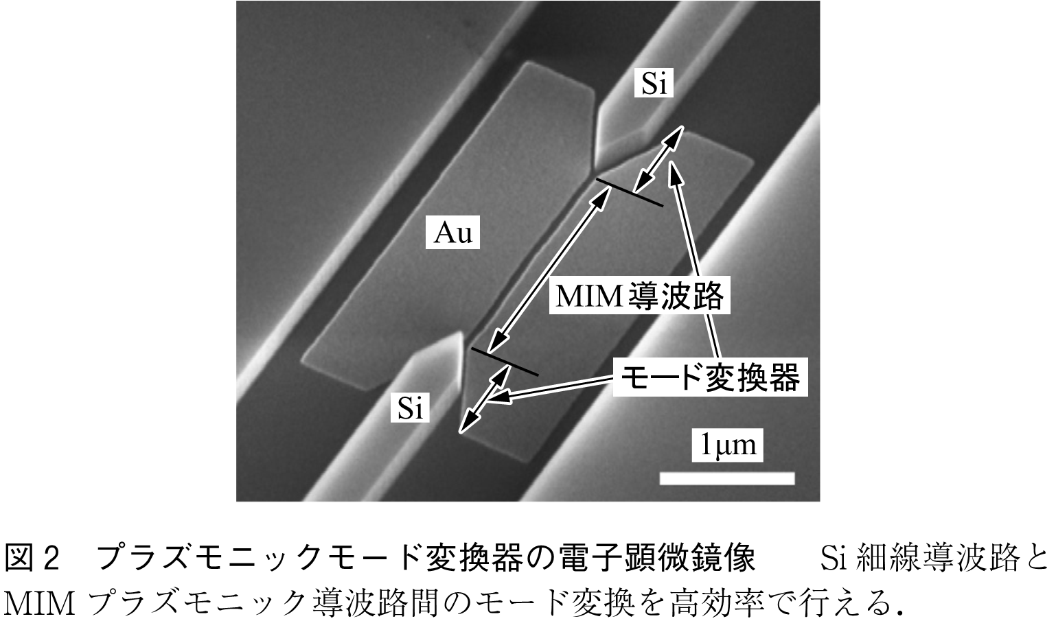 図2　プラズモニックモード変換器の電子顕微鏡像　　Si細線導波路とMIMプラズモニック導波路間のモード変換を高効率で行える．