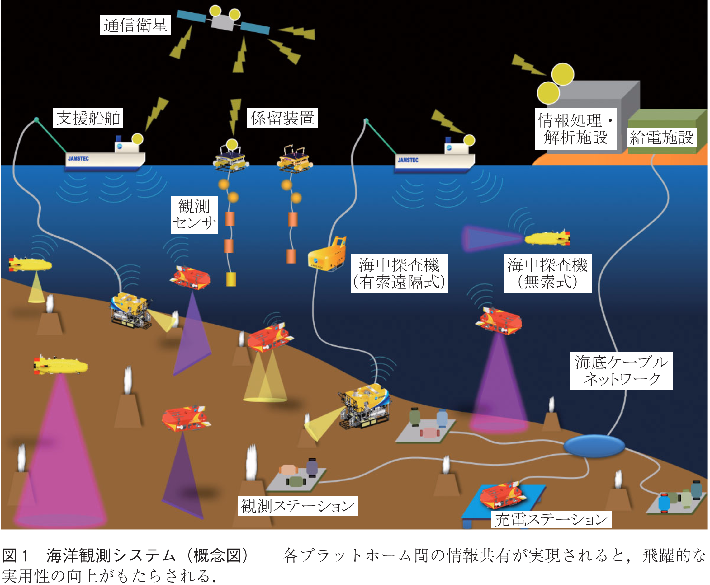 図1　海洋観測システム（概念図）　　各プラットホーム間の情報共有が実現されると，飛躍的な実用性の向上がもたらされる．