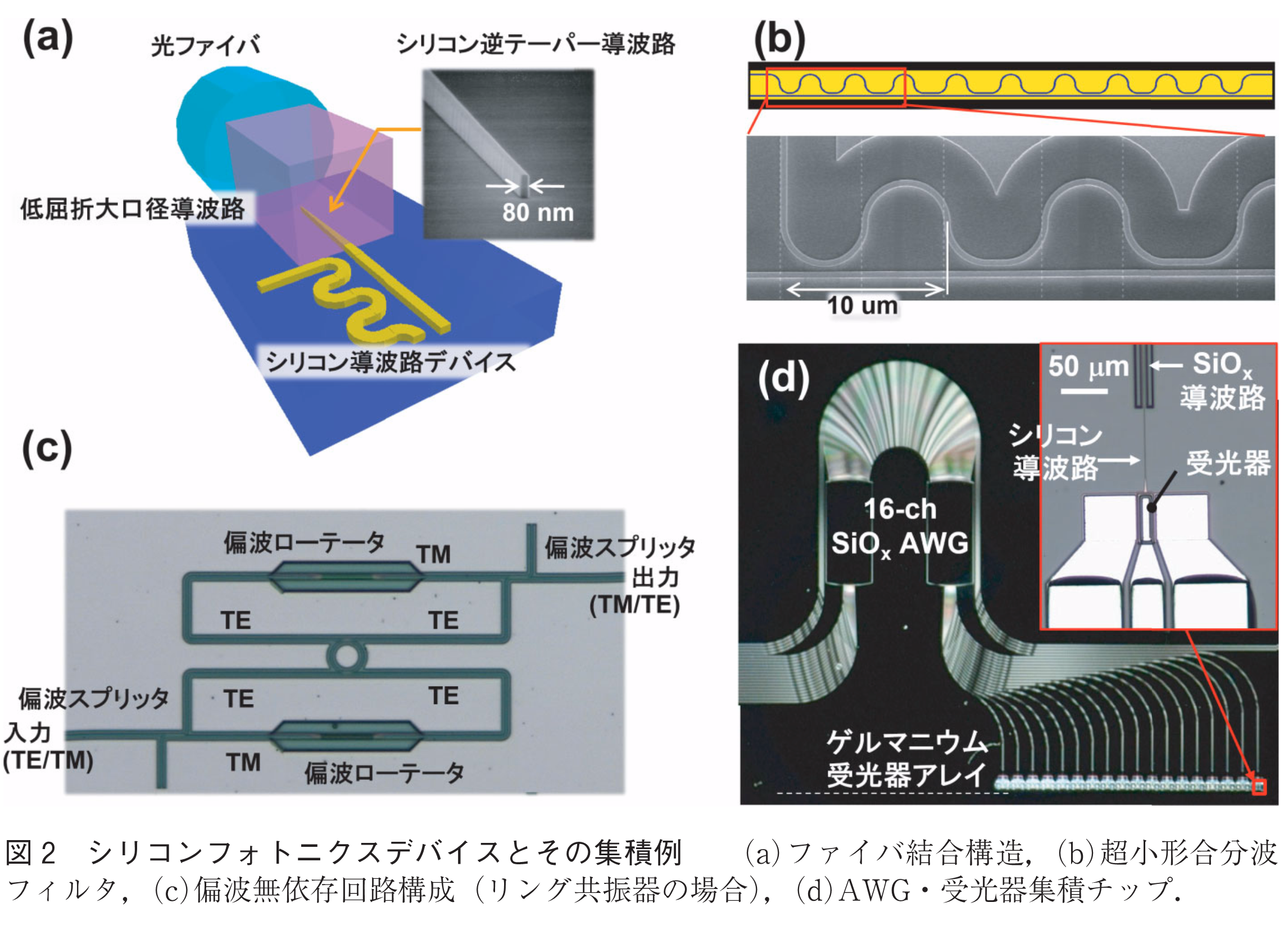 図2　図2　シリコンフォトニクスデバイスとその集積例　　(a)ファイバ結合構造，(b)超小形合分波フィルタ，(c)偏波無依存回路構成（リング共振器の場合），(d)AWG・受光器集積チップ．