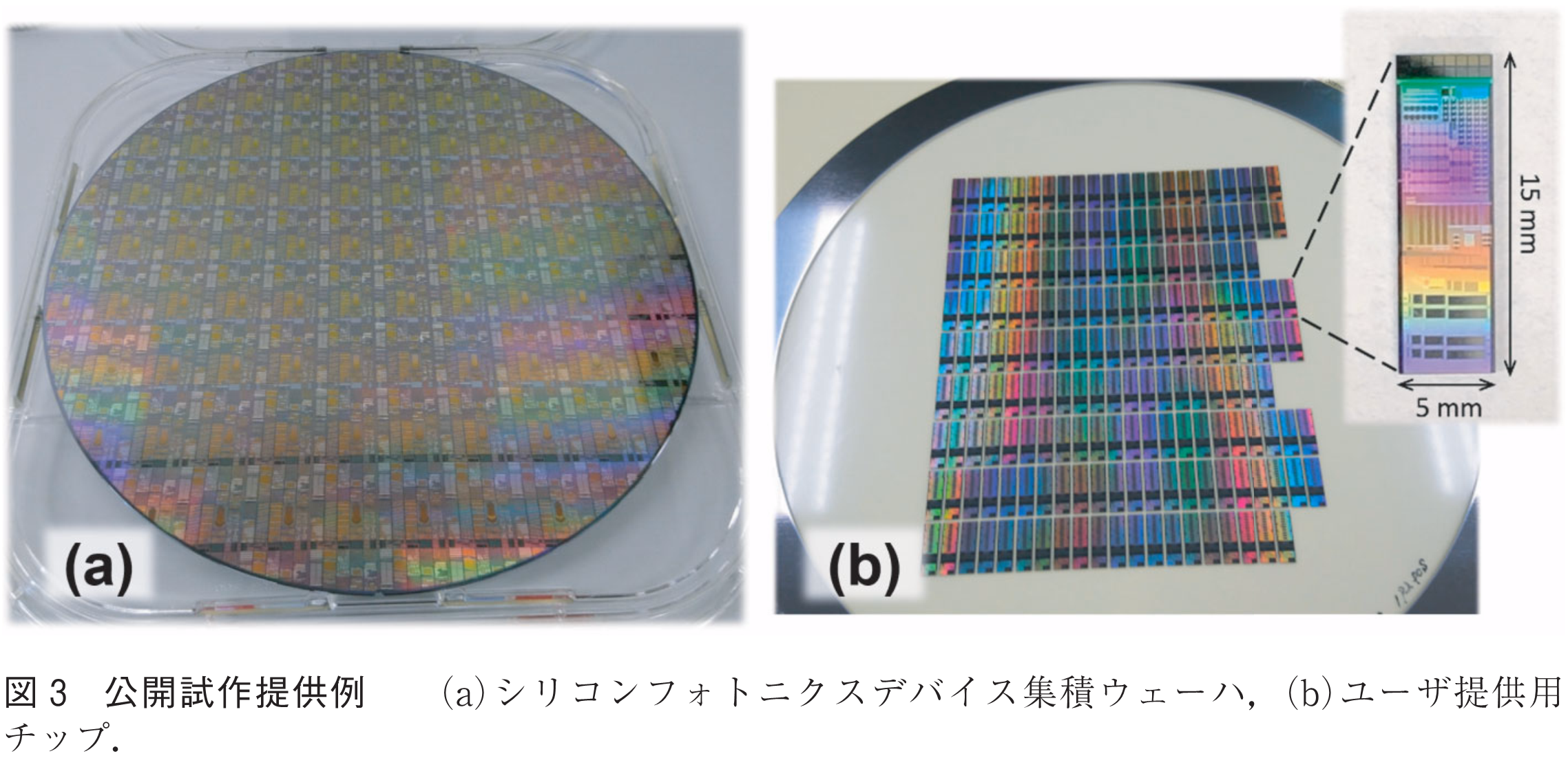 図3　公開試作提供例　　(a)シリコンフォトニクスデバイス集積ウェーハ，(b)ユーザ提供用チップ．