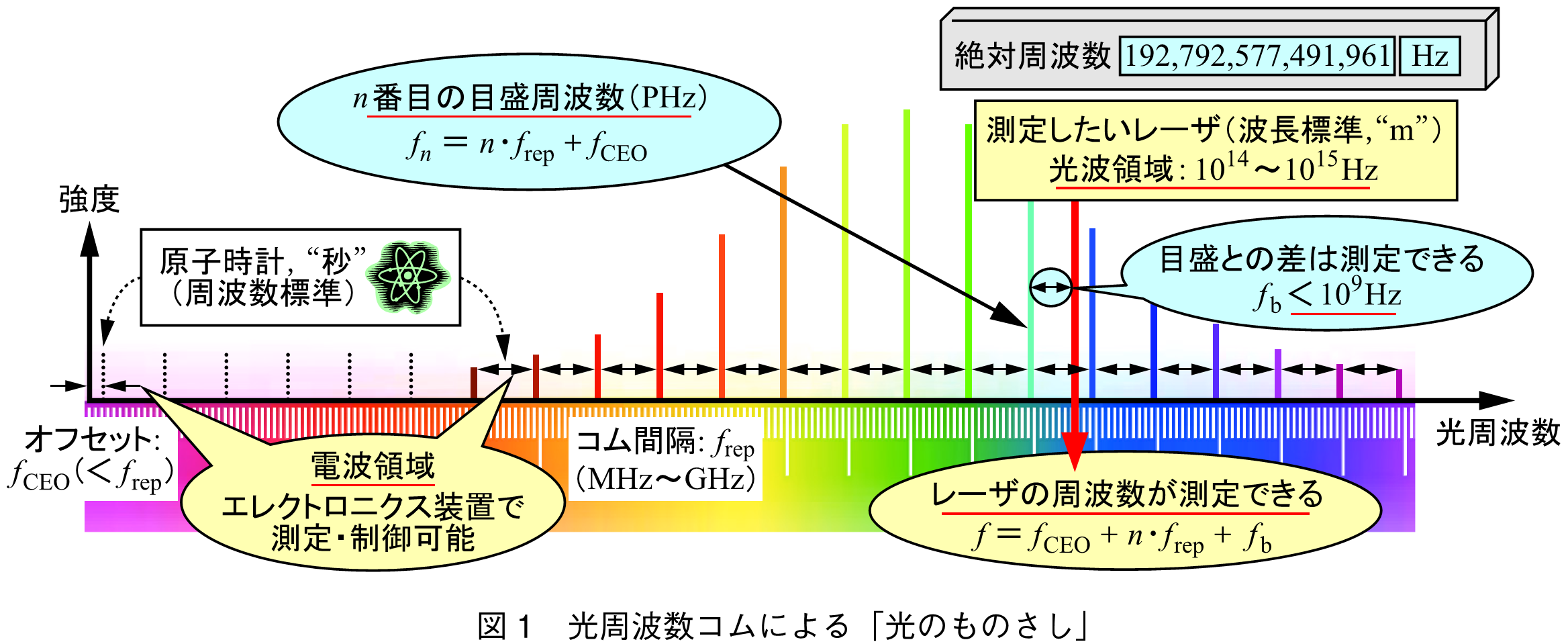 図1　光周波数コムによる「光のものさし」
