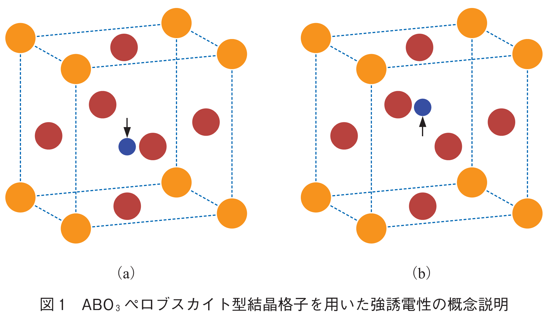 図1　ABO3ペロブスカイト型結晶格子を用いた強誘電性の概念説明