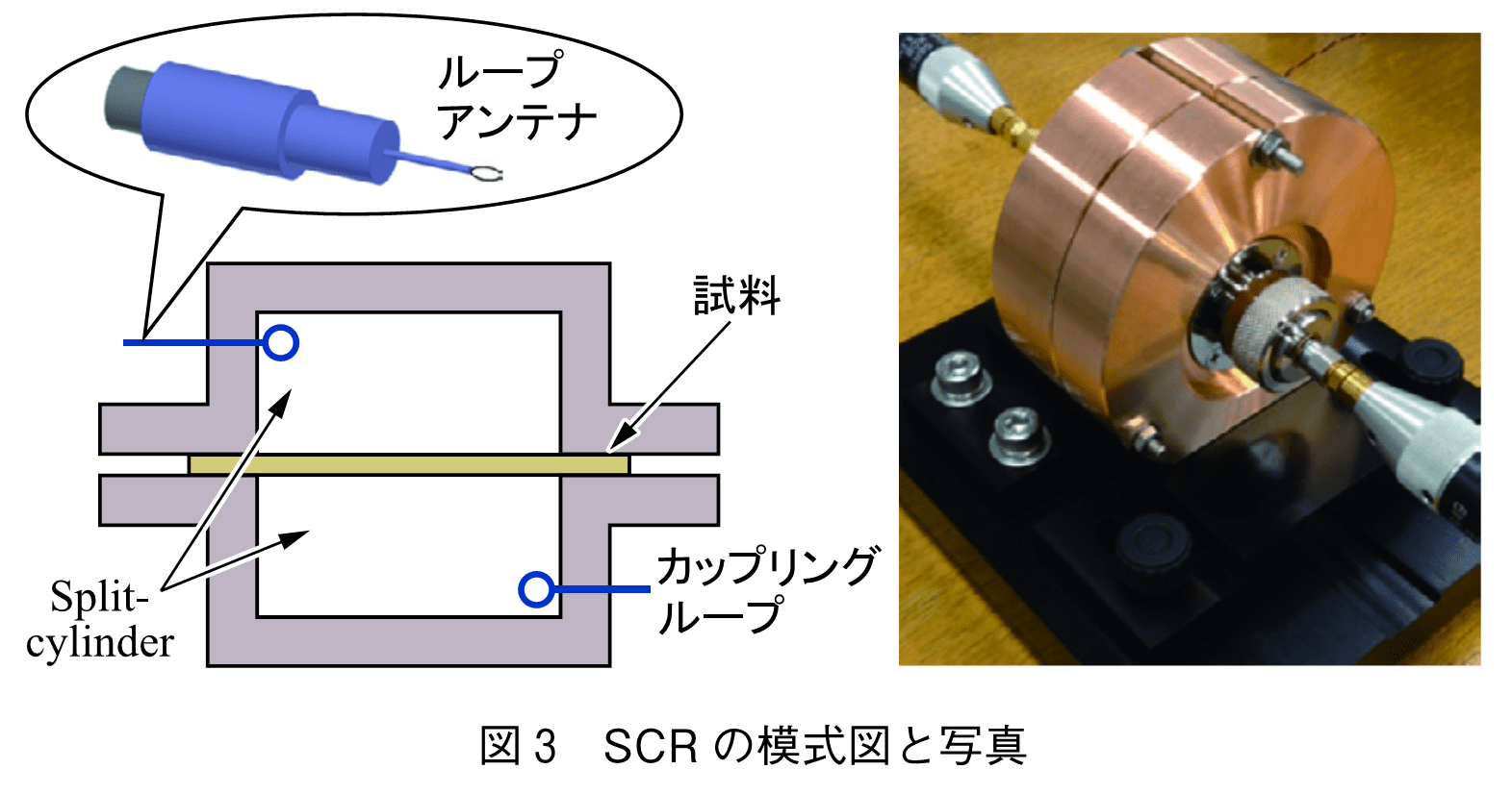 図3　SCR の模式図と写真