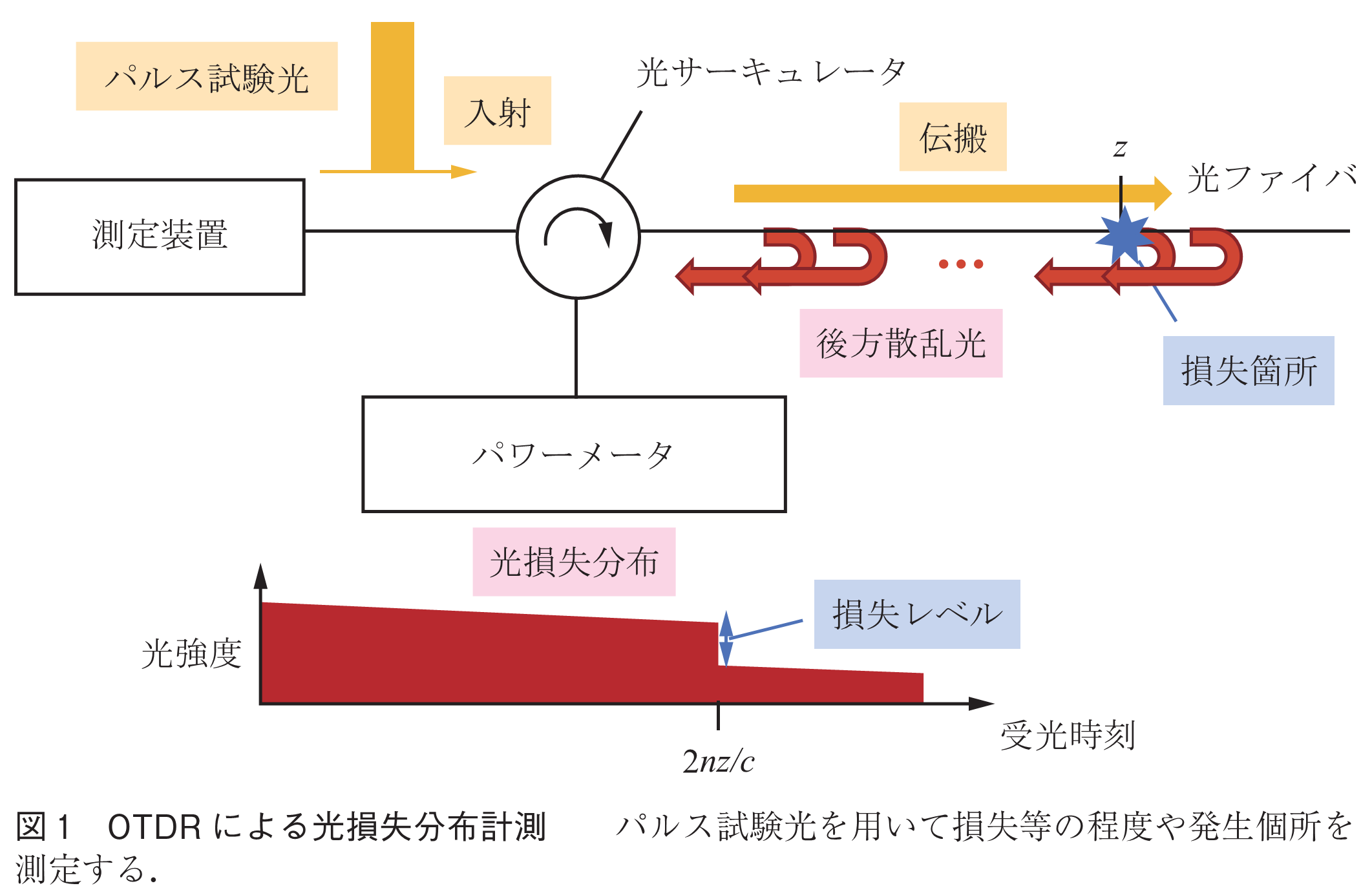 図1　OTDRによる光損失分布計測　　パルス試験光を用いて損失等の程度や発生個所を測定する．