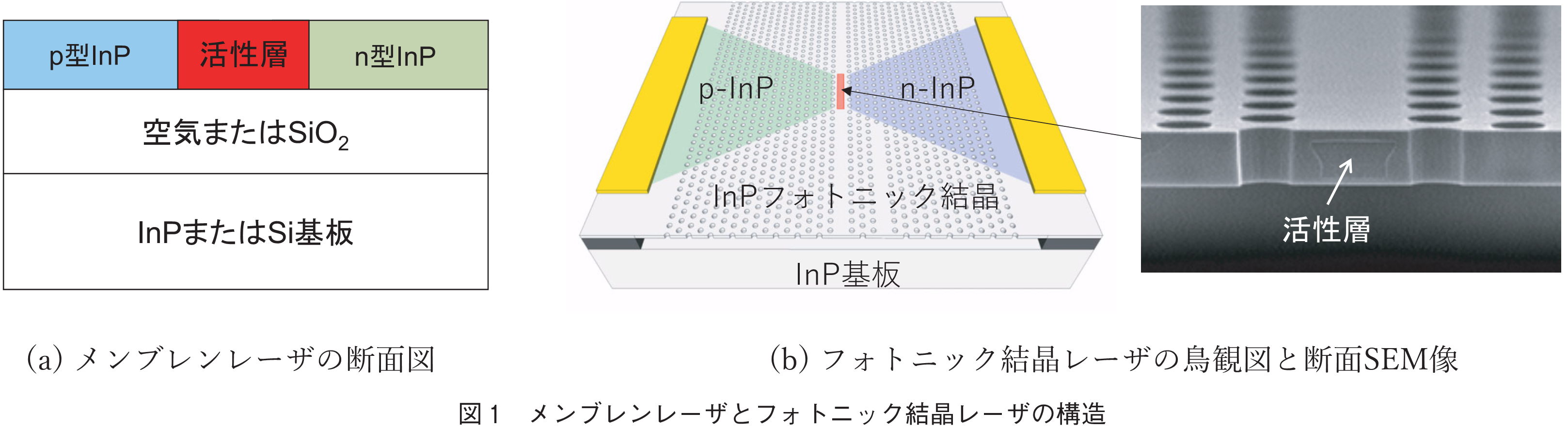 図1　メンブレンレーザとフォトニック結晶レーザの構造