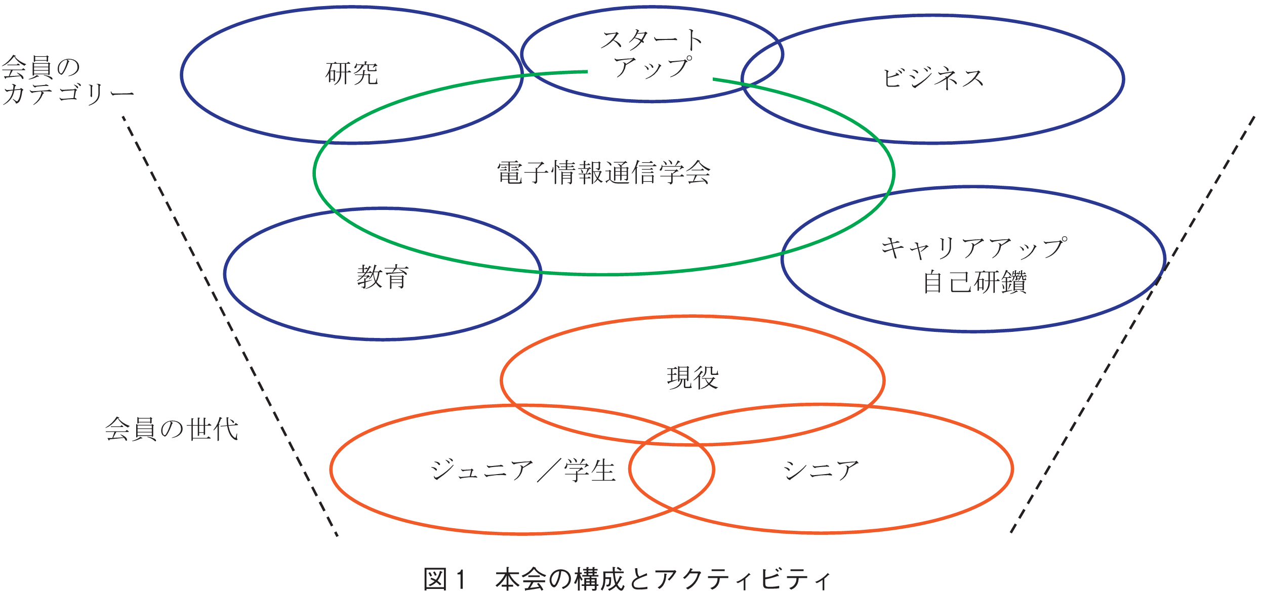 図1　本会の構成とアクティビティ