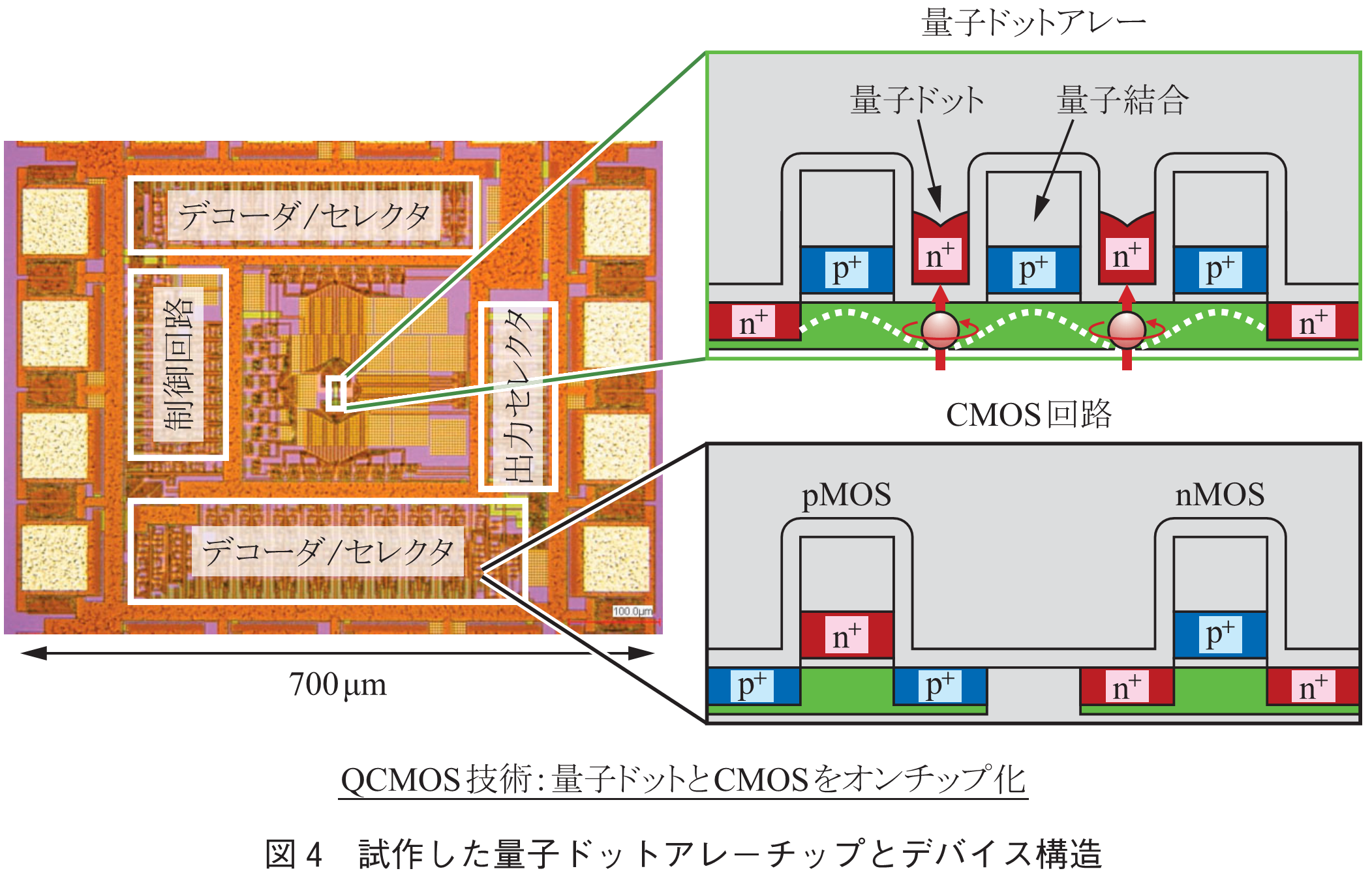 図4　試作した量子ドットアレーチップとデバイス構造