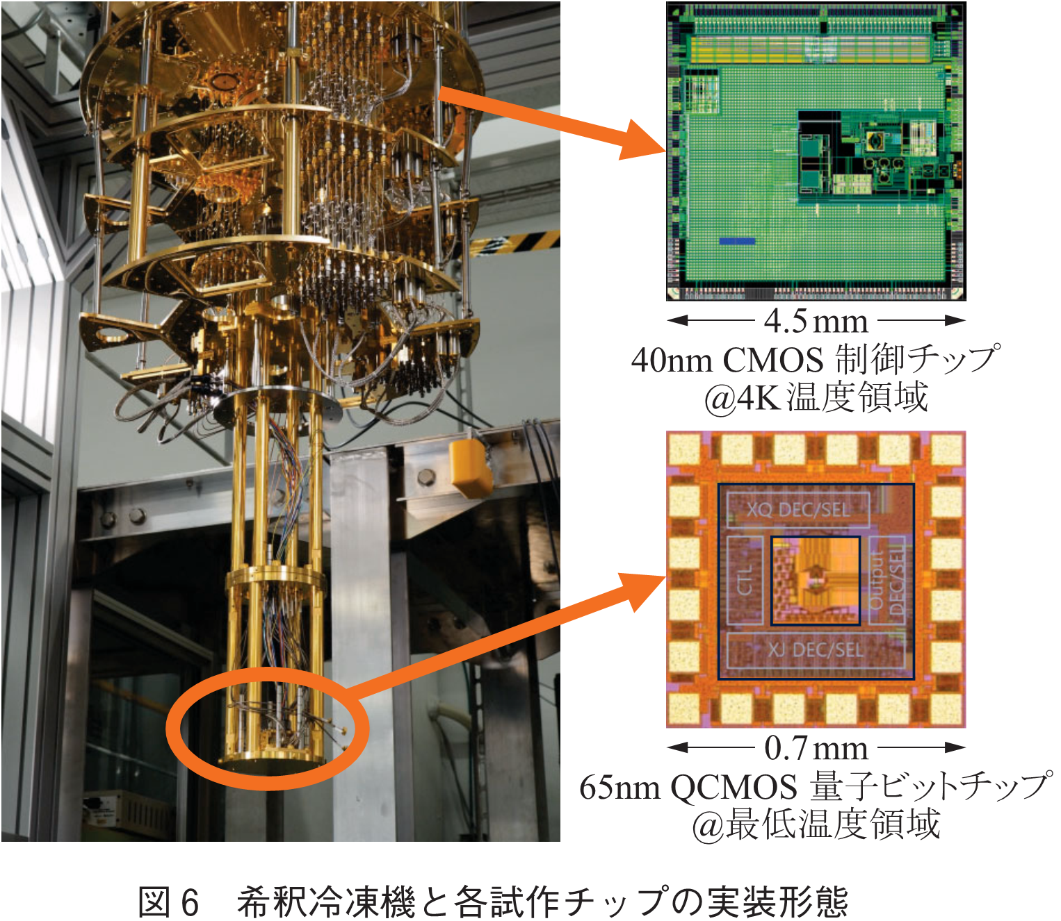 図6　希釈冷凍機と各試作チップの実装形態