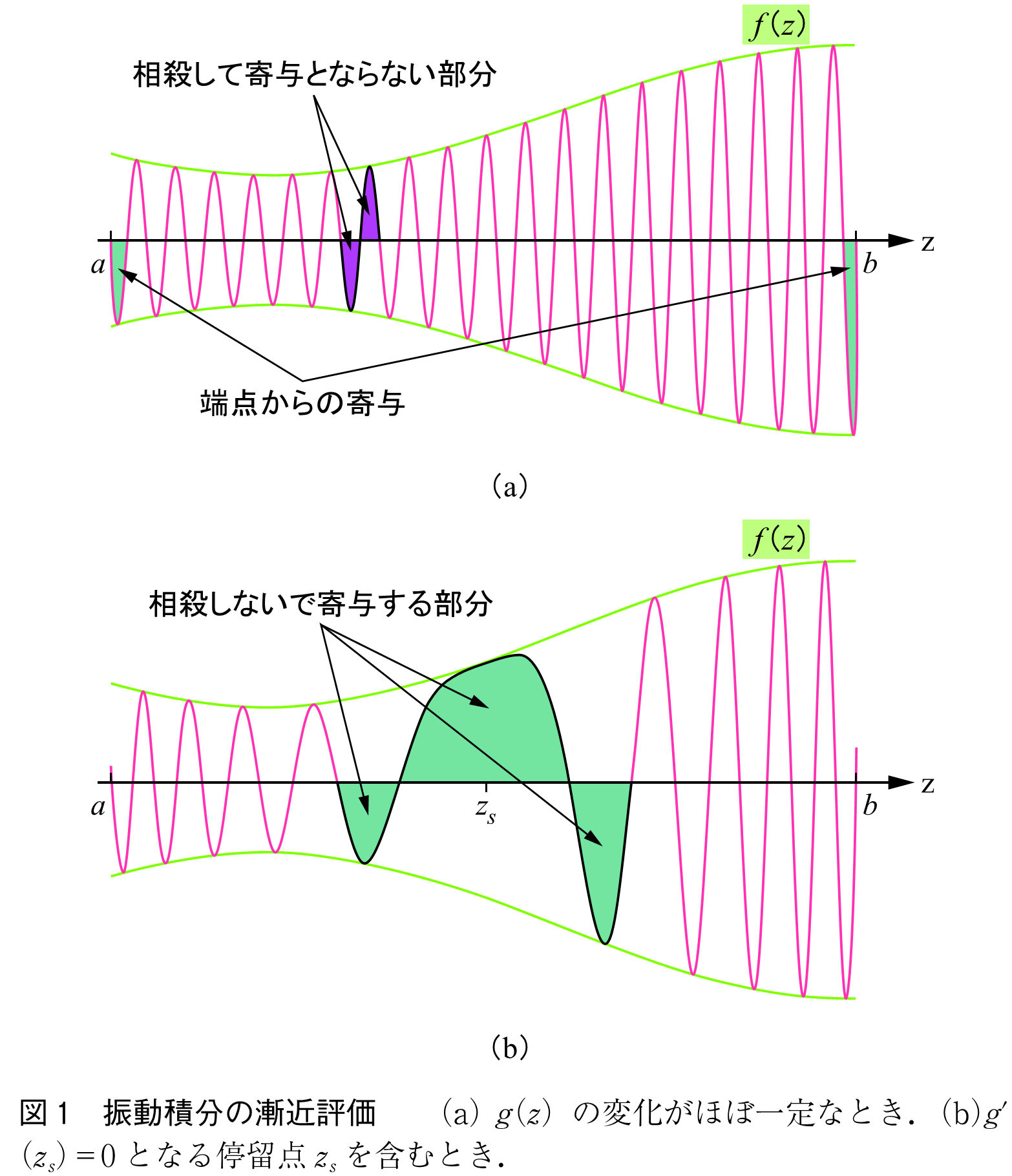 図1　振動積分の漸近評価　　（a）g（z）の変化がほぼ一定なとき．（b）g′（zs）＝0となる停留点zsを含むとき．