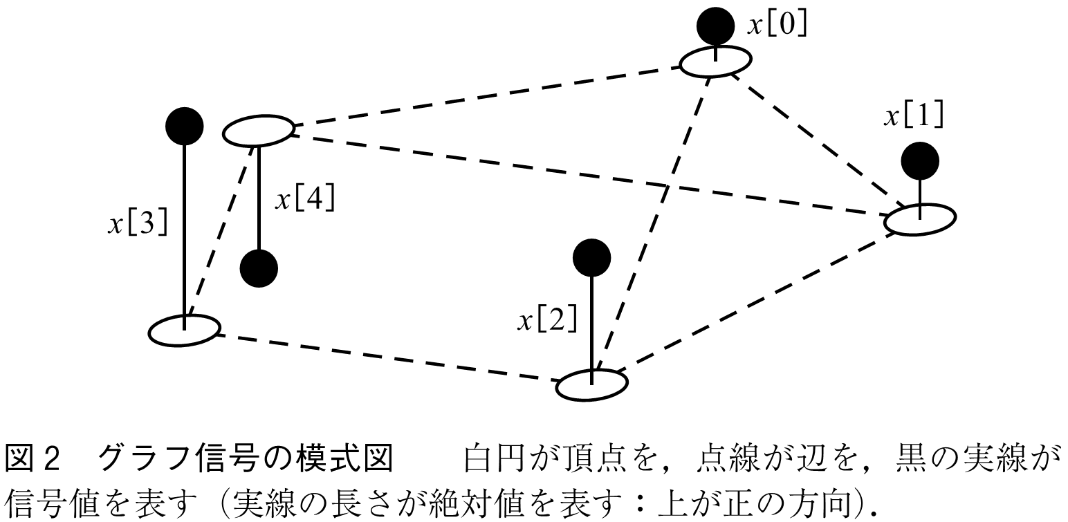 図2　グラフ信号の模式図　　白円が頂点を，点線が辺を，黒の実線が信号値を表す（実線の長さが絶対値を表す：上が正の方向）．