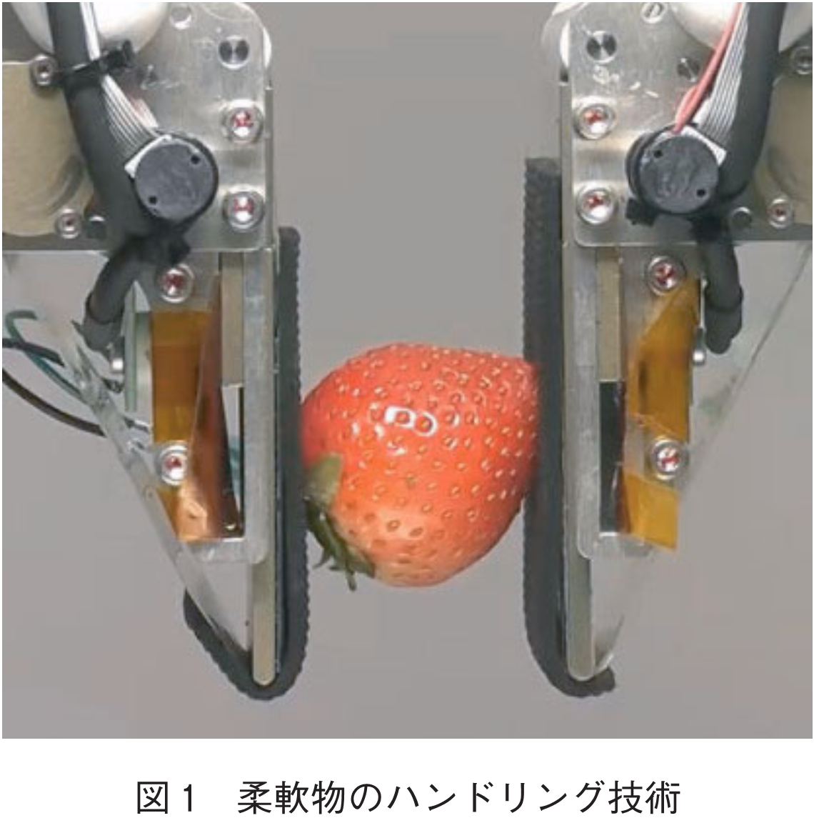 図1　柔軟物のハンドリング技術