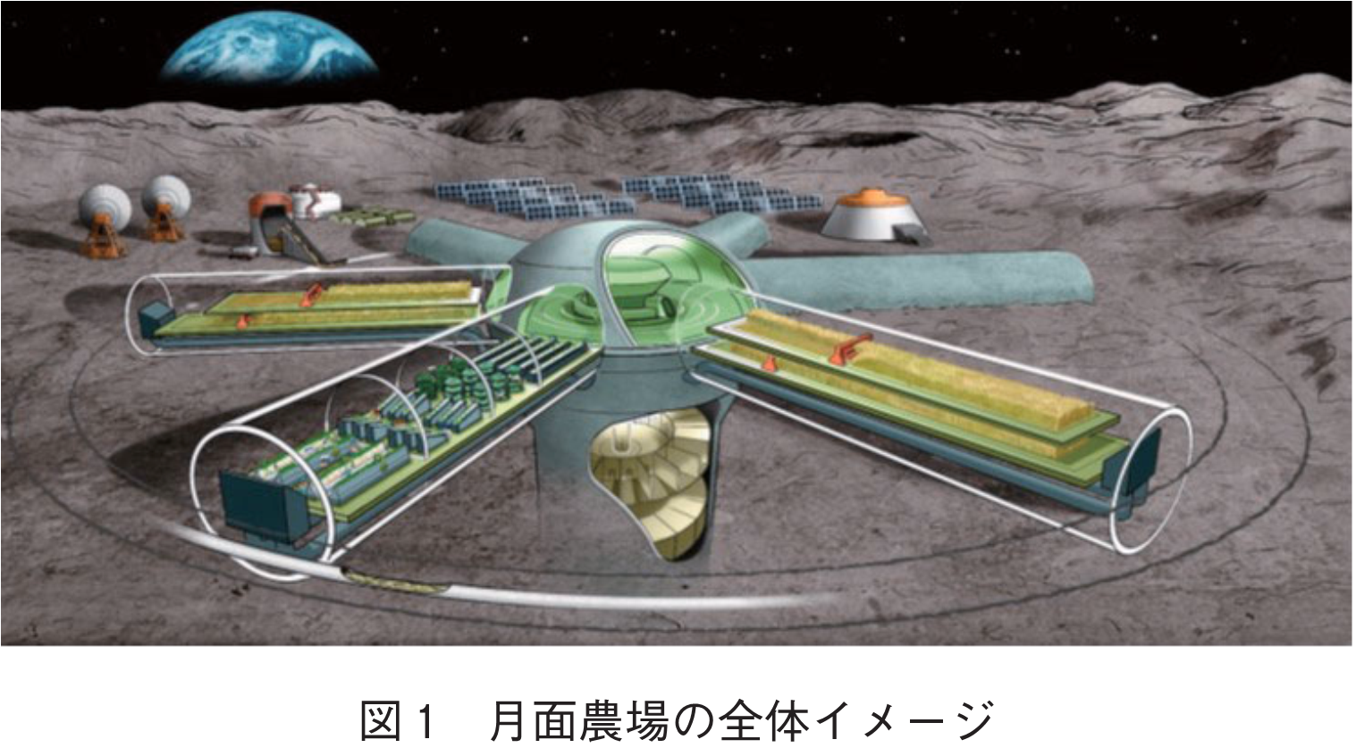 図1　月面農場の全体イメージ