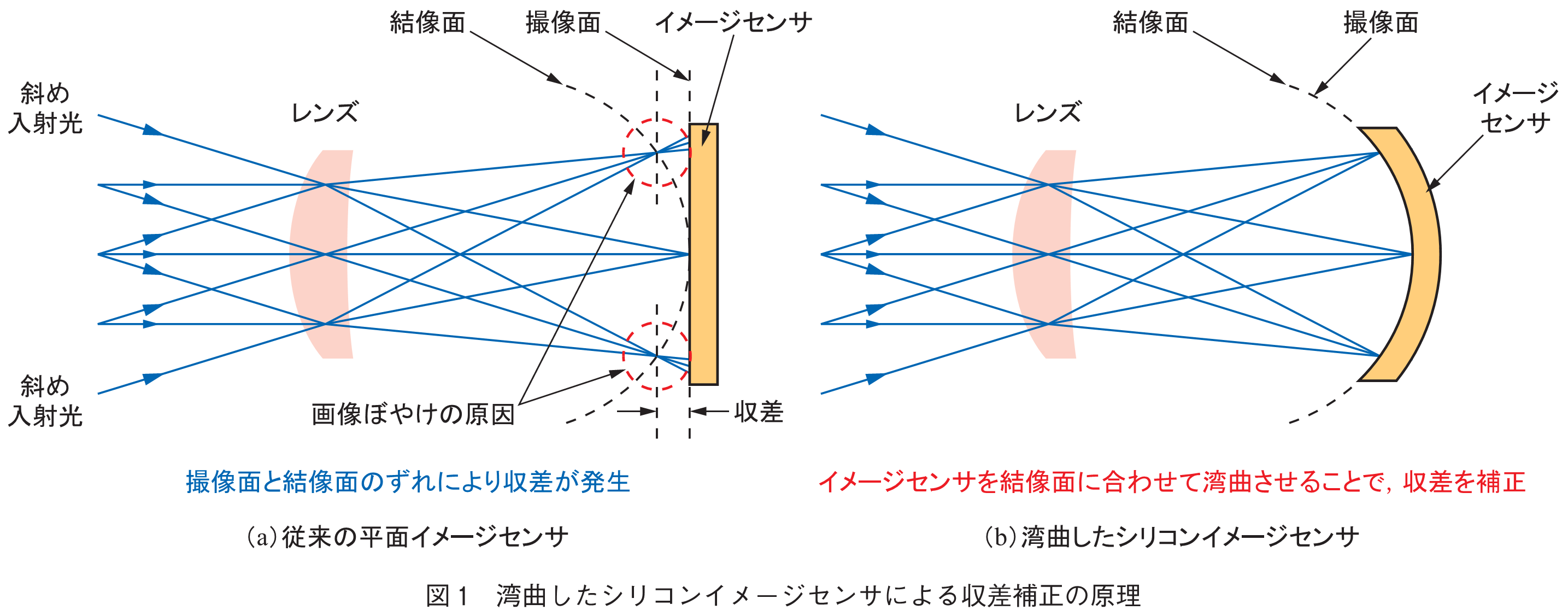 図1　湾曲したシリコンイメージセンサによる収差補正の原理