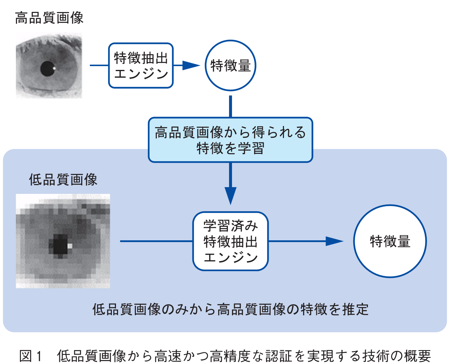 図1　低品質画像から高速かつ高精度な認証を実現する技術の概要