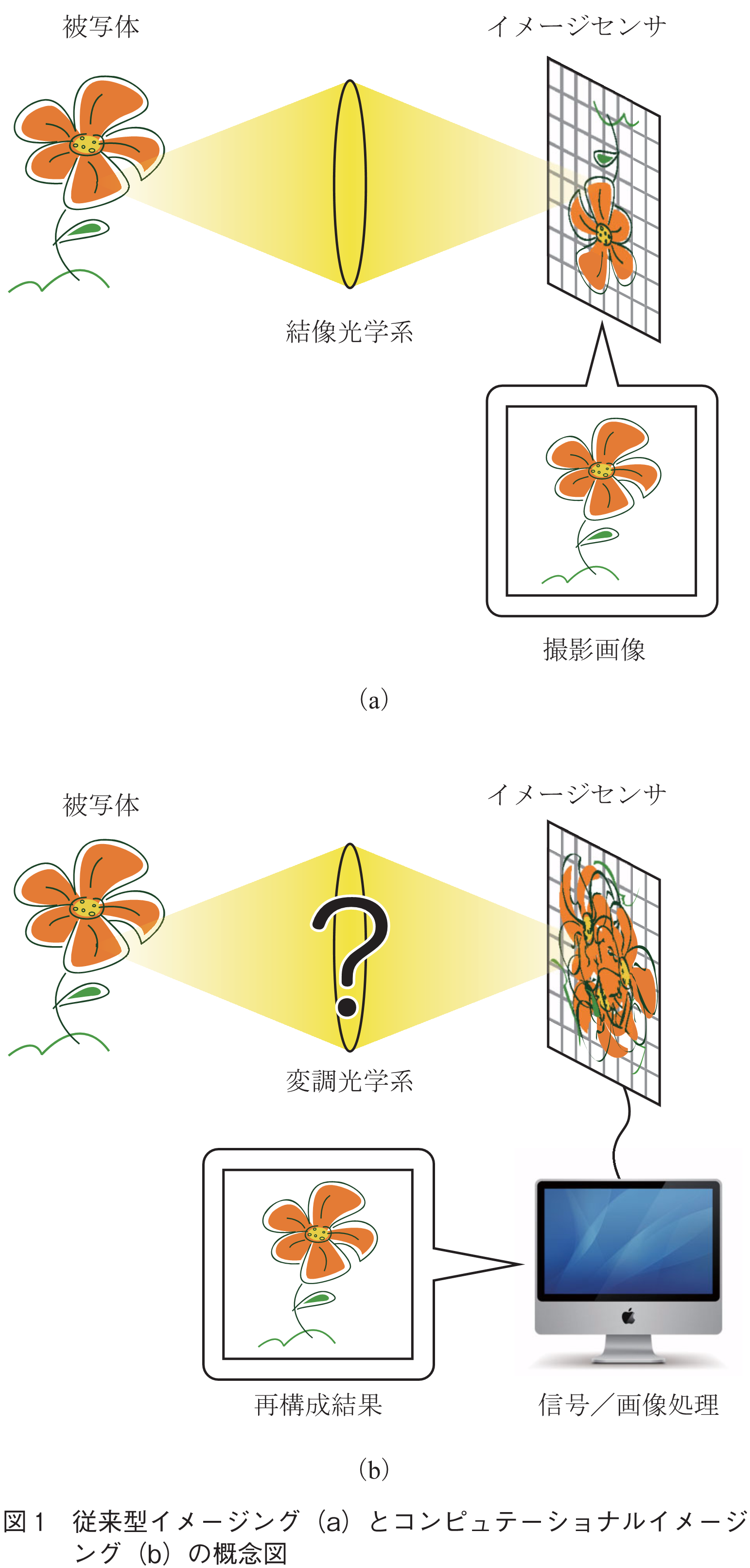 図1　従来型イメージング（a）とコンピュテーショナルイメージング（b）の概念図