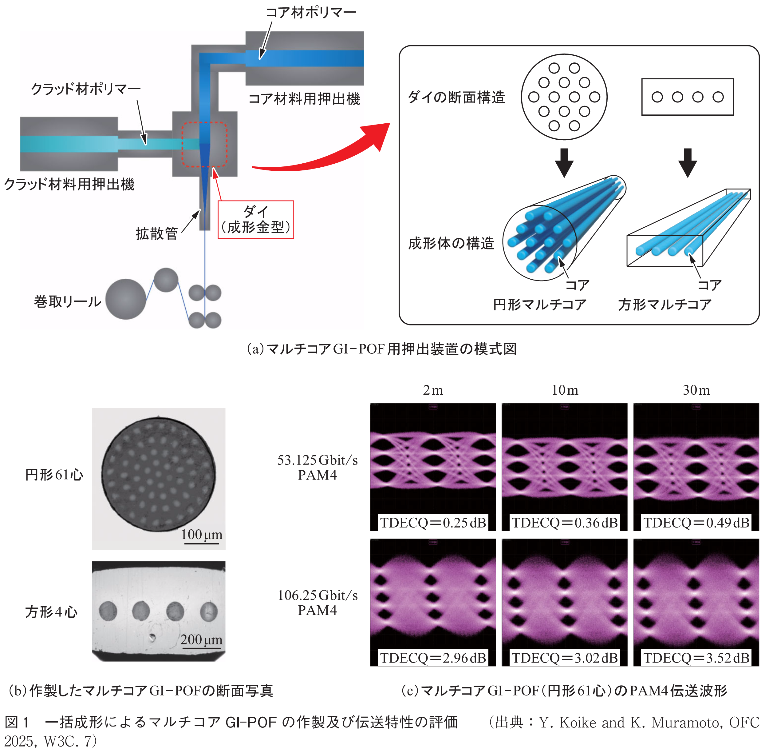 図1　一括成形によるマルチコアGI-POFの作製及び伝送特性の評価　　（出典：Y. Koike and K. Muramoto, OFC 2025, W3C. 7）