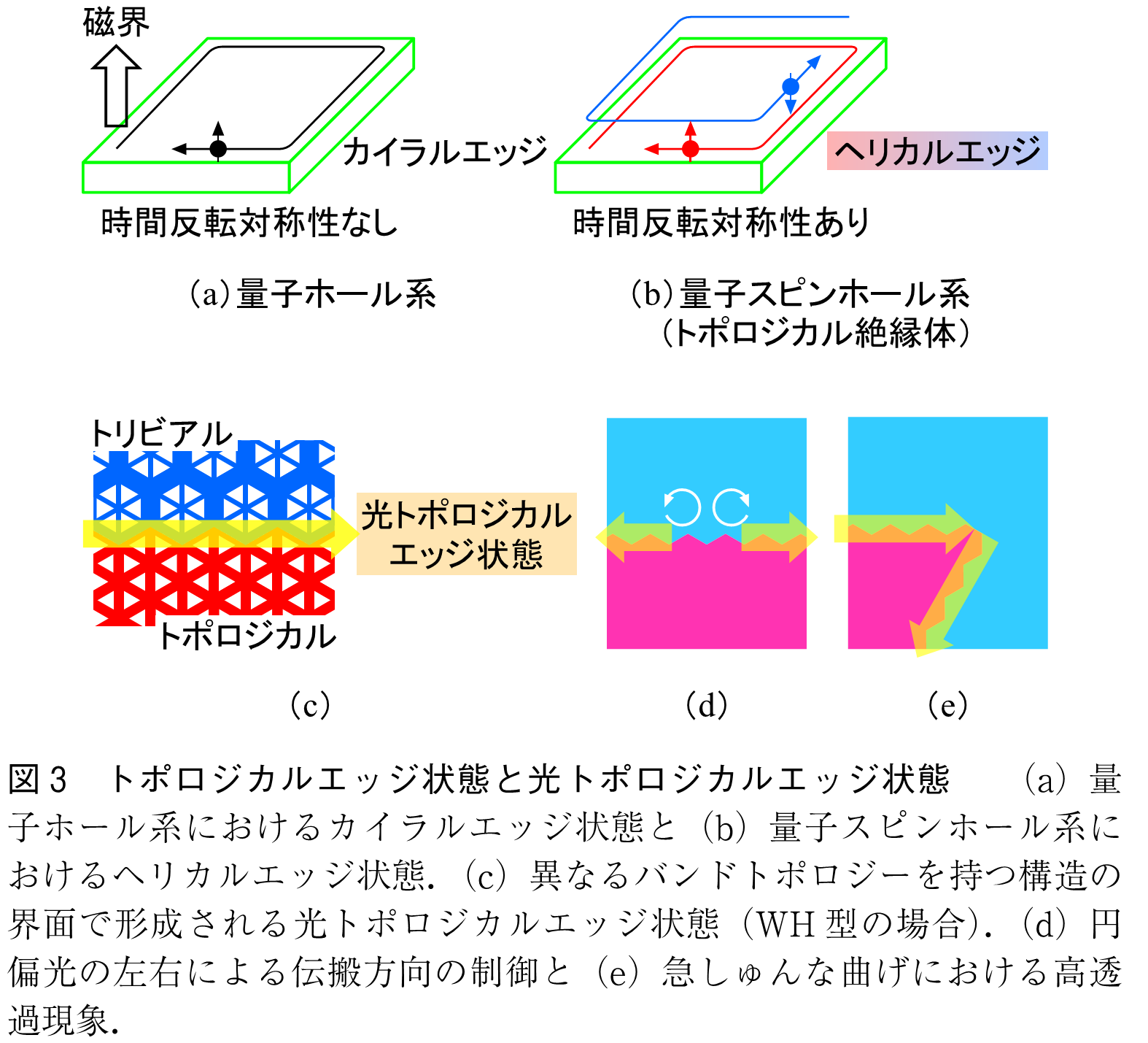 図3　トポロジカルエッジ状態と光トポロジカルエッジ状態　　（a）量子ホール系におけるカイラルエッジ状態と（b）量子スピンホール系におけるヘリカルエッジ状態．（c）異なるバンドトポロジーを持つ構造の界面で形成される光トポロジカルエッジ状態（WH型の場合）．（d）円偏光の左右による伝搬方向の制御と（e）急しゅんな曲げにおける高透過現象．